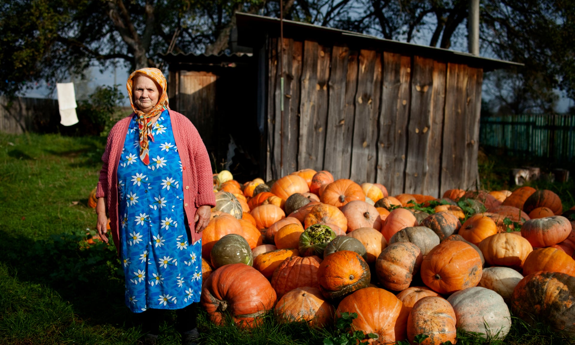 pumpkins